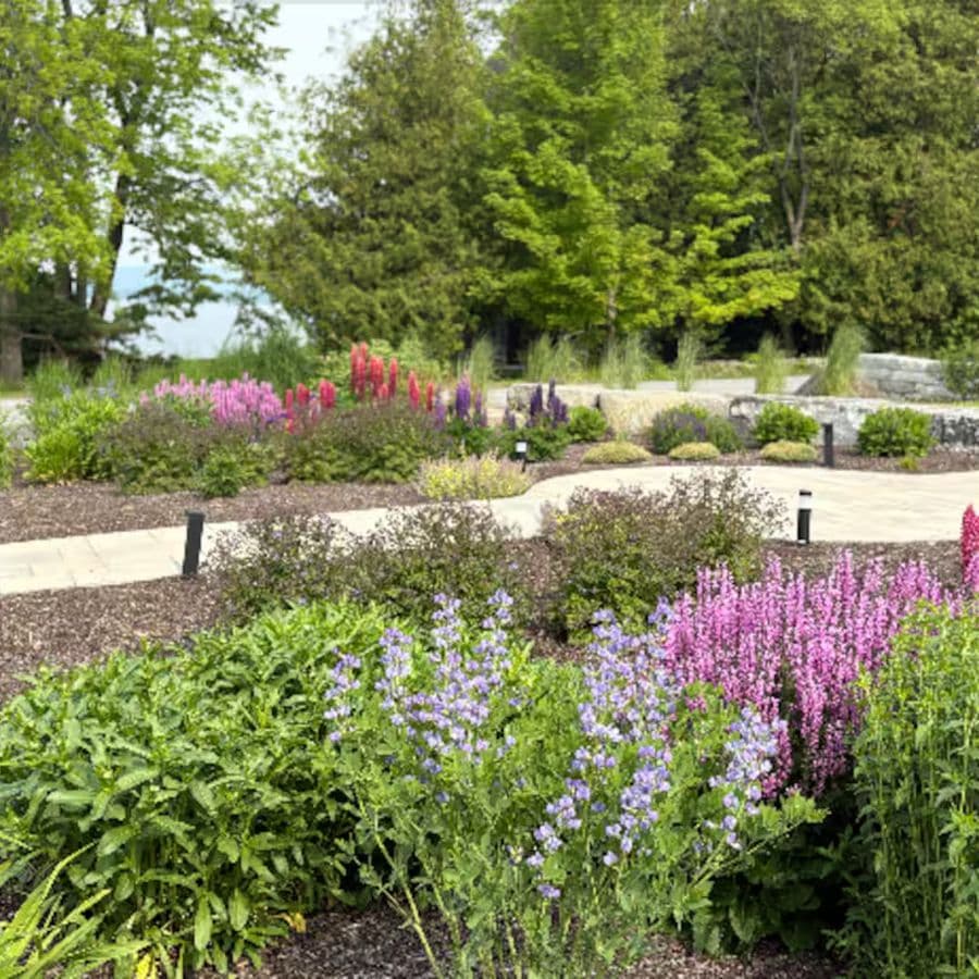 A vibrant garden featuring colorful flowers and lush greenery along a winding pathway.